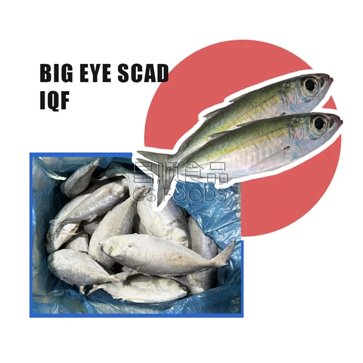 Trawling IQF Big Eye Scad