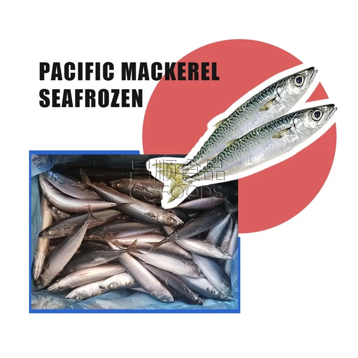 Sea Frozen IQF Pacific Mackerel